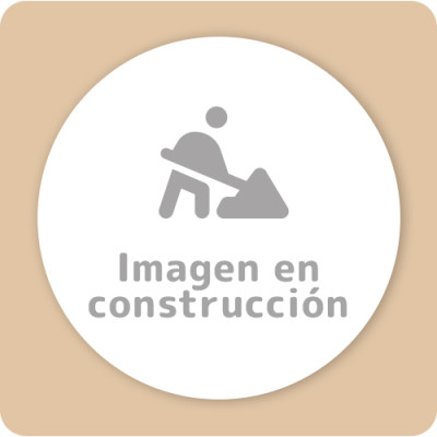 FIBRO DIX- PALETA PINTOR CHICA  20 CM    (7007) 